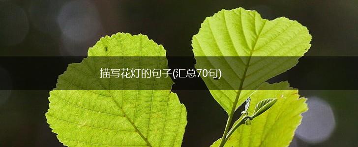 描写花灯的句子(汇总70句),第1张