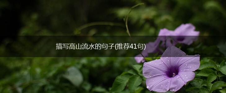 描写高山流水的句子(推荐41句),第1张