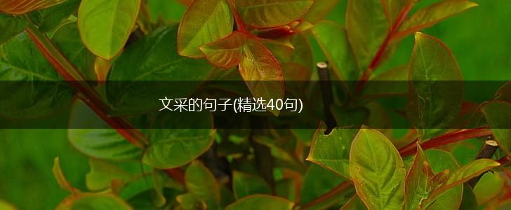 文采的句子(精选40句),第1张
