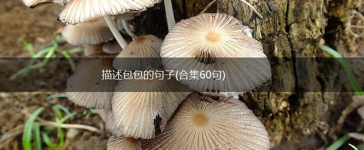 描述包包的句子(合集60句),第1张
