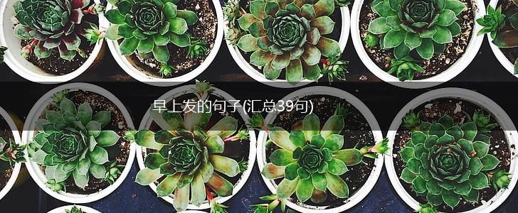 早上发的句子(汇总39句),第1张