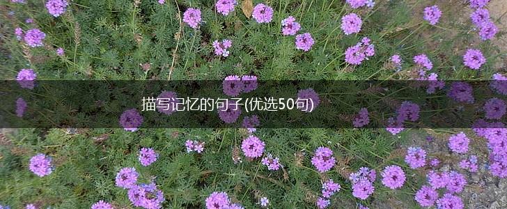 描写记忆的句子(优选50句),第1张
