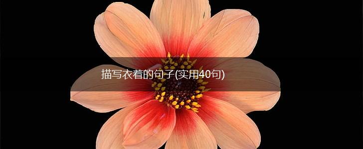 描写衣着的句子(实用40句),第1张
