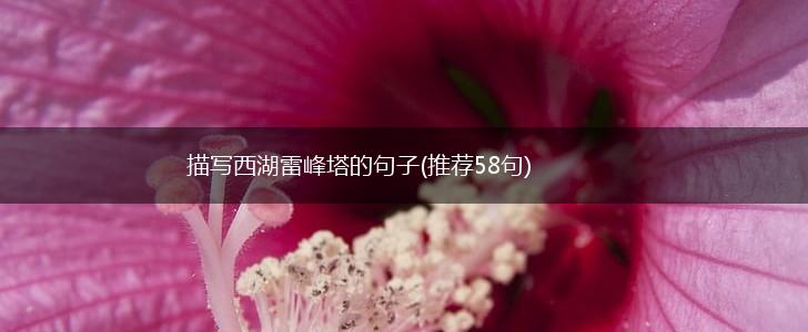 描写西湖雷峰塔的句子(推荐58句),第1张