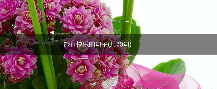 旅行快乐的句子(共70句),第1张