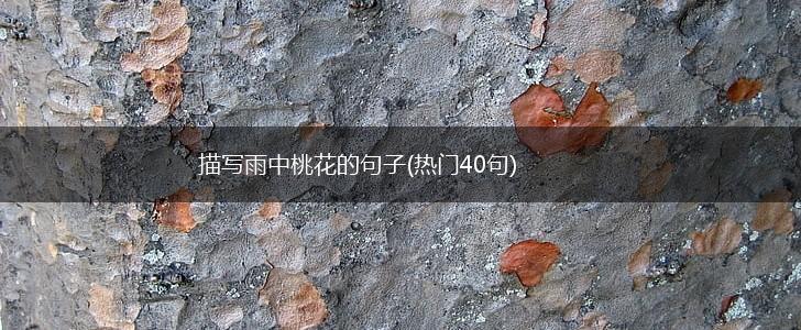 描写雨中桃花的句子(热门40句),第1张