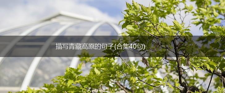描写青藏高原的句子(合集40句),第1张