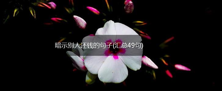 暗示别人还钱的句子(汇总49句),第1张