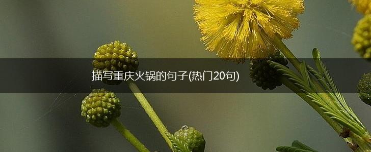 描写重庆火锅的句子(热门20句),第1张