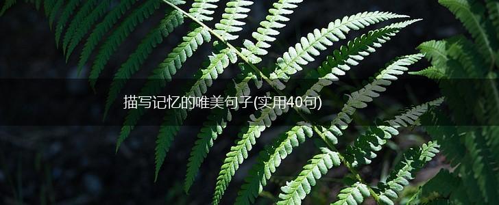 描写记忆的唯美句子(实用40句),第1张