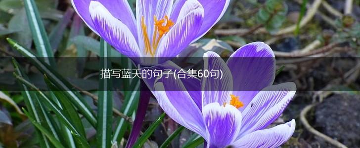 描写蓝天的句子(合集60句),第1张