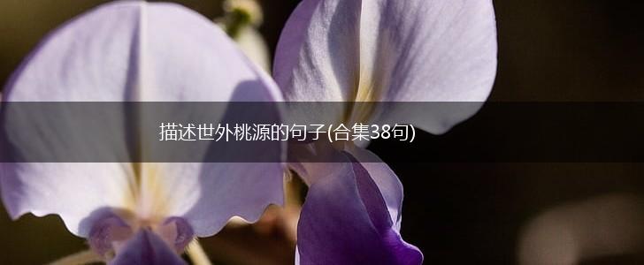 描述世外桃源的句子(合集38句),第1张
