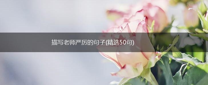 描写老师严厉的句子(精选50句),第1张