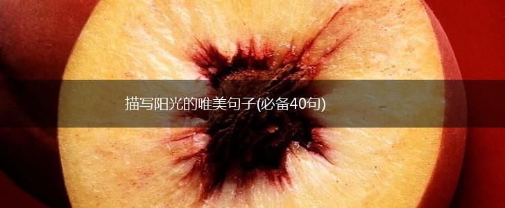 描写阳光的唯美句子(必备40句),第1张