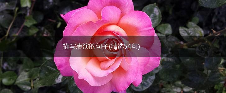 描写表演的句子(精选54句),第1张