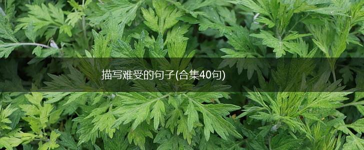 描写难受的句子(合集40句),第1张