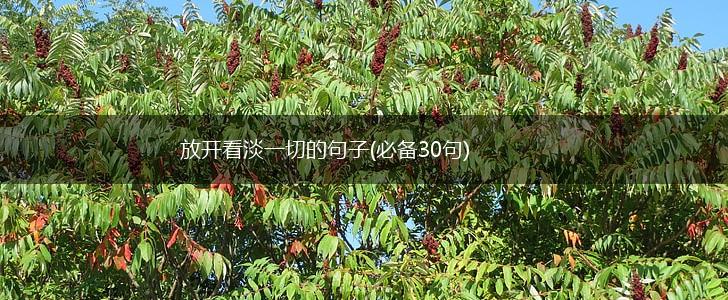 放开看淡一切的句子(必备30句),第1张
