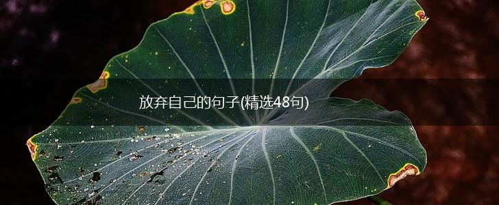 放弃自己的句子(精选48句),第1张