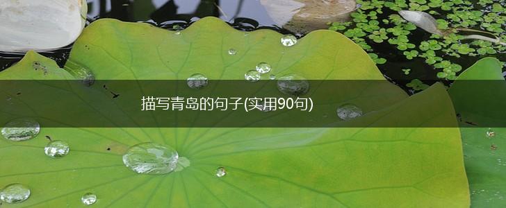 描写青岛的句子(实用90句),第1张