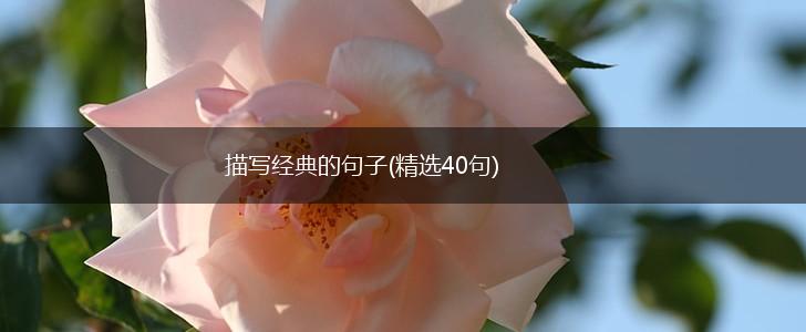 描写经典的句子(精选40句),第1张