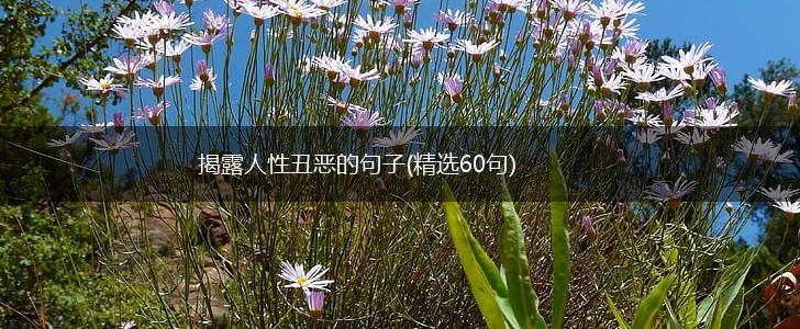 揭露人性丑恶的句子(精选60句),第1张