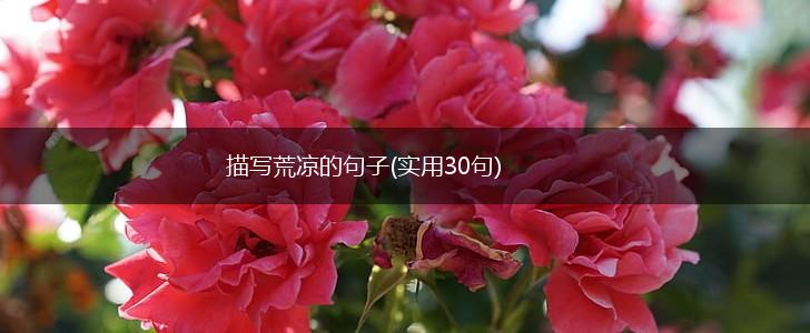 描写荒凉的句子(实用30句),第1张