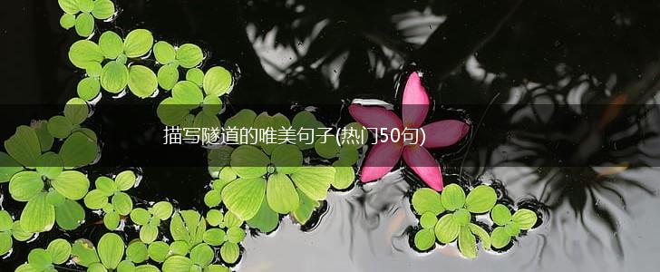 描写隧道的唯美句子(热门50句),第1张