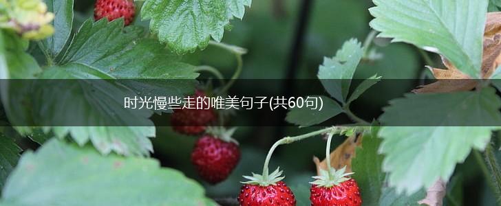 时光慢些走的唯美句子(共60句),第1张