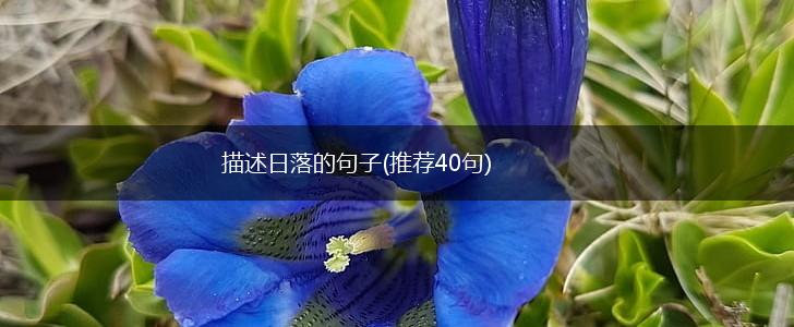 描述日落的句子(推荐40句),第1张