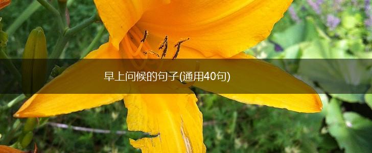早上问候的句子(通用40句),第1张