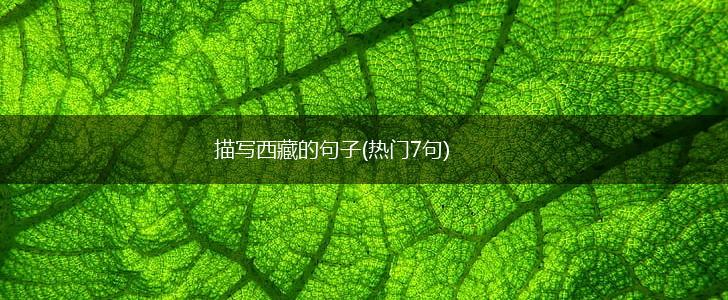 描写西藏的句子(热门7句),第1张