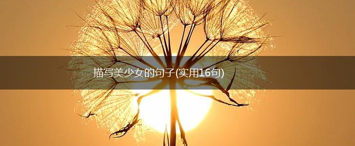 描写美少女的句子(实用16句),第1张
