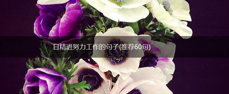 日精进努力工作的句子(推荐60句),第1张