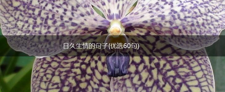 日久生情的句子(优选60句),第1张