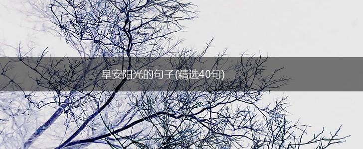 早安阳光的句子(精选40句),第1张