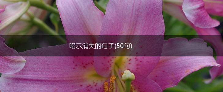 暗示消失的句子(50句),第1张