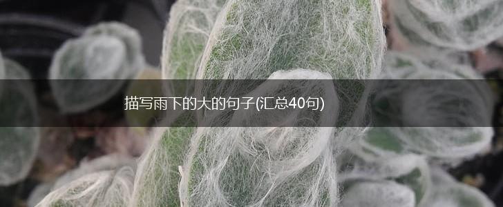 描写雨下的大的句子(汇总40句),第1张