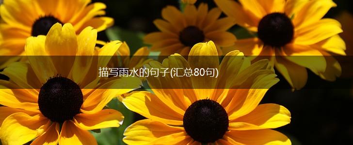 描写雨水的句子(汇总80句),第1张