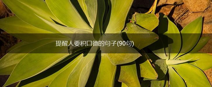 提醒人要积口德的句子(90句),第1张