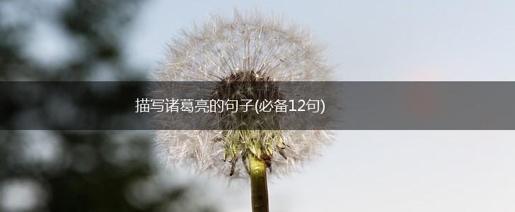 描写诸葛亮的句子(必备12句),第1张