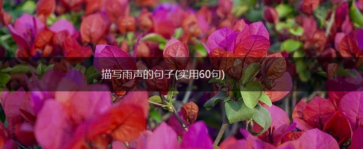 描写雨声的句子(实用60句),第1张