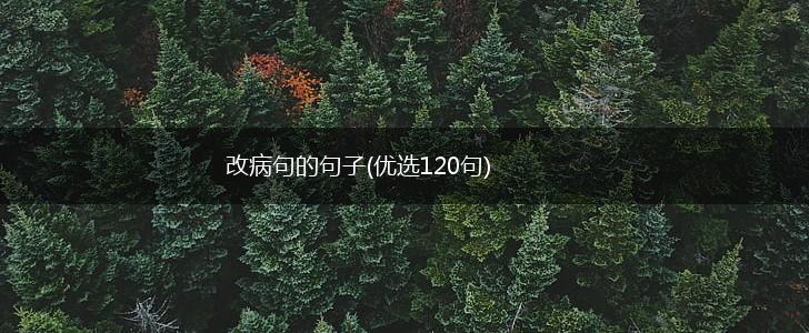 改病句的句子(优选120句),第1张
