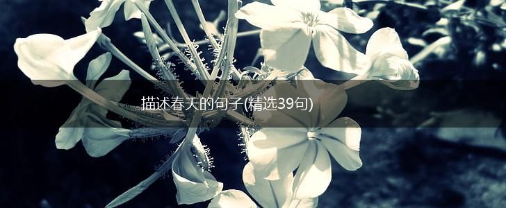 描述春天的句子(精选39句),第1张
