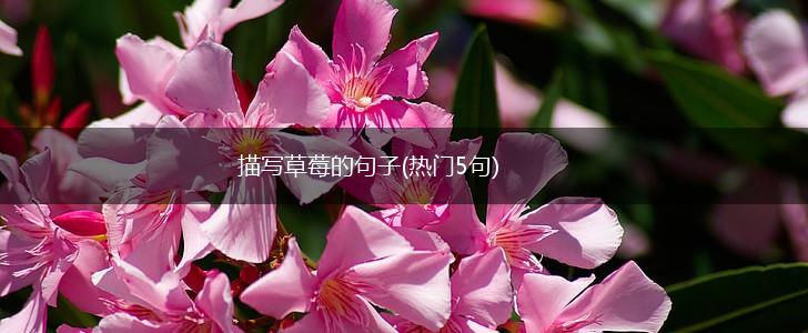 描写草莓的句子(热门5句),第1张