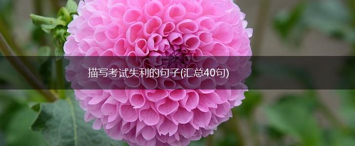 描写考试失利的句子(汇总40句),第1张