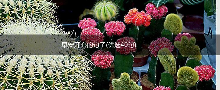 早安开心的句子(优选40句),第1张
