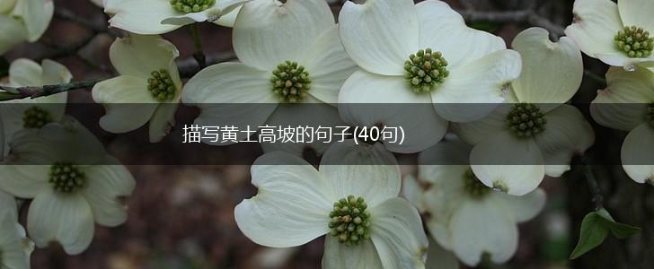 描写黄土高坡的句子(40句),第1张