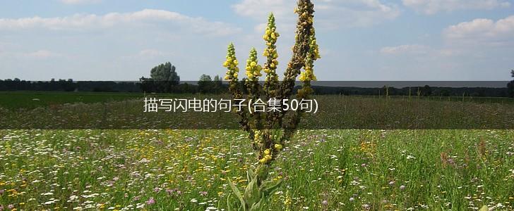 描写闪电的句子(合集50句),第1张