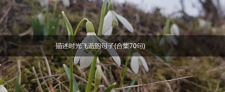 描述时光飞逝的句子(合集70句),第1张