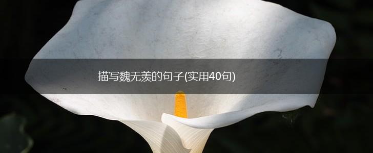 描写魏无羡的句子(实用40句),第1张